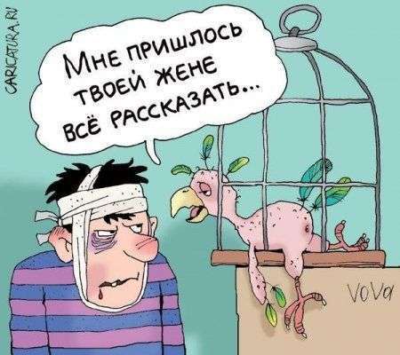 Підбірка позитиву в класних картинках (130 фото)