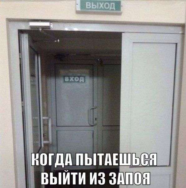 Підбірка прикольних фото №1165 (101 фото)