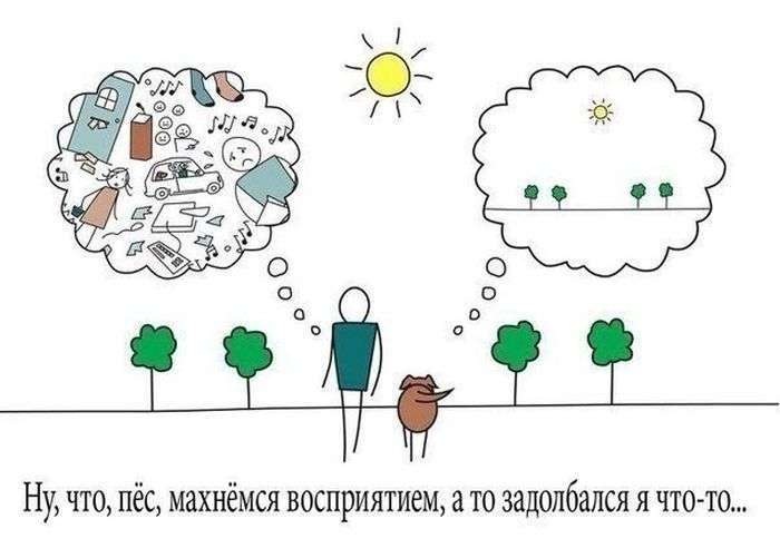 Трохи веселих коміксів (20 картинок)