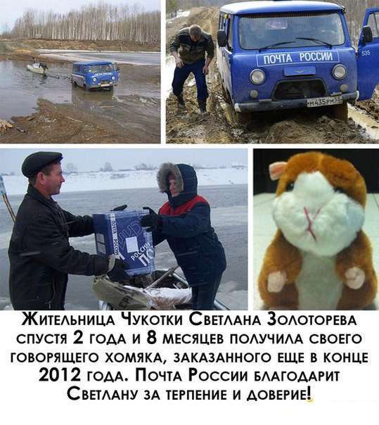 Трохи автоприколов (20 фото)