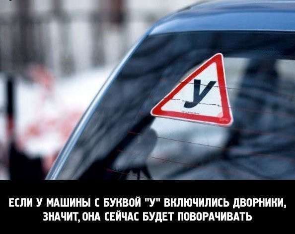 Трохи автоприколов (20 фото)