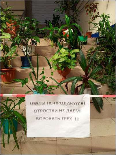 Прикольні написи і оголошення (18 фото)