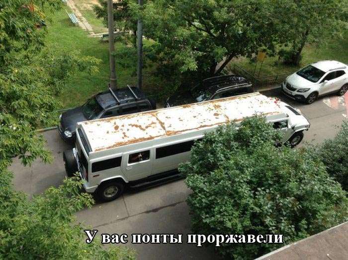 Підбірка прикольних фото №1170 (96 фото)