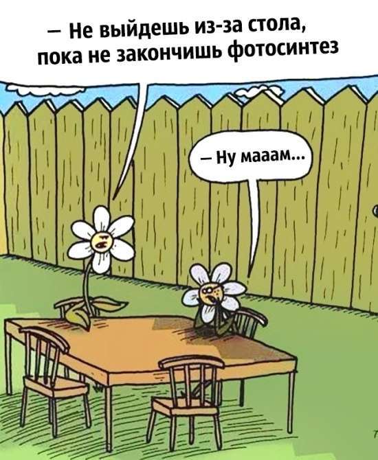 Жарти вчених (20 картинок)