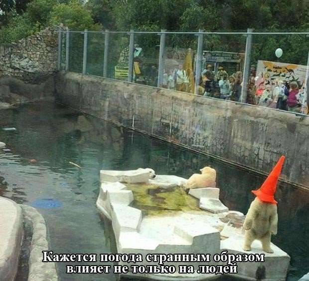 Підбірка прикольних фото №1174 (106 фото)