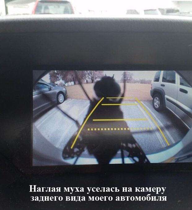 Підбірка прикольних фото №1176 (91 фото)