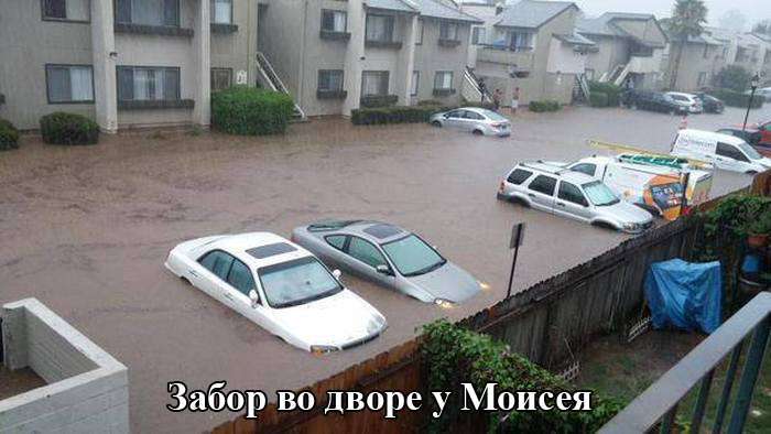 Підбірка прикольних фото №1177 (96 фото)