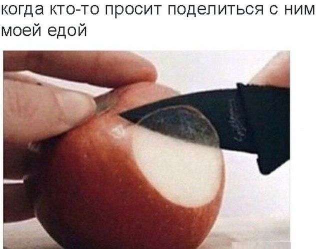 Підбірка прикольних фото №1177 (96 фото)