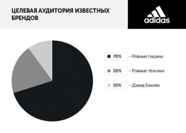 Чесна інфографіка (8 фото)