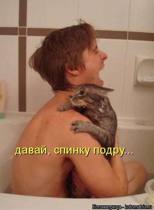 Кращі котоматриці тижні (50 фото)