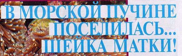 СНІД-ІНФО ЗА 1997-2007 (90 фото)
