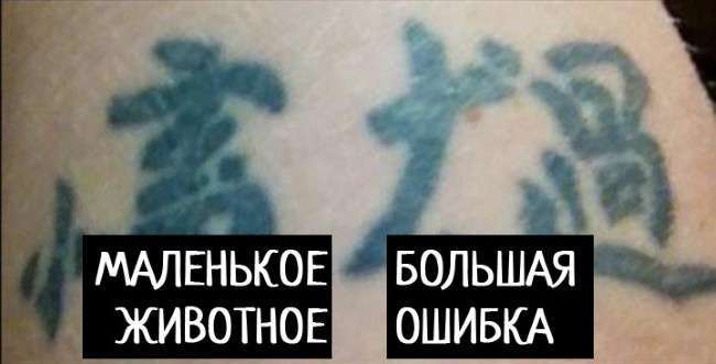 Не сміши азіата, або які татуювання краще не робити (17 фото)