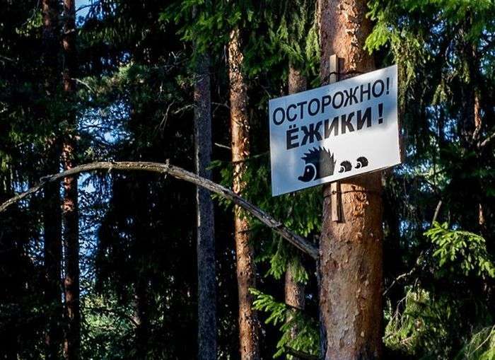 Підбірка прикольних фото №1192 (93 фото)