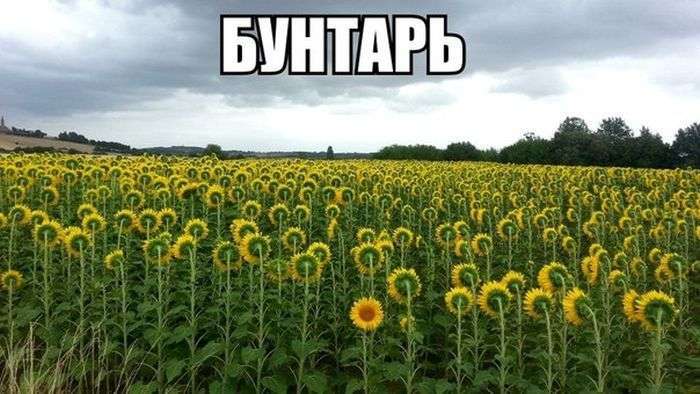 Підбірка прикольних фото №1193 (104 фото)