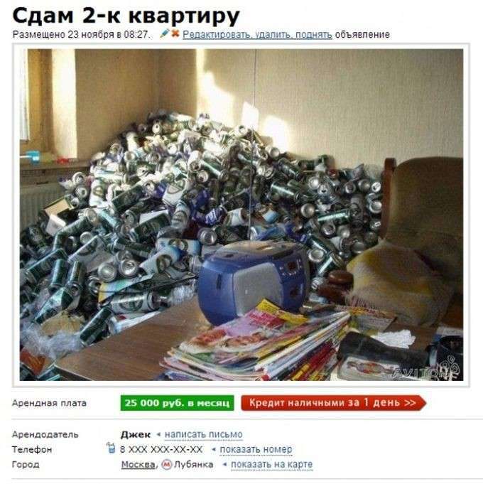 27 найкращих оголошень з Авіто (27 фото)