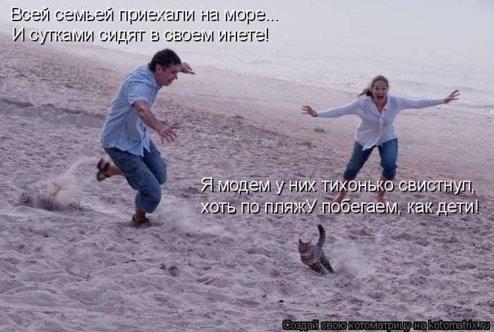 Кращі котоматриці тижні (50 фото)