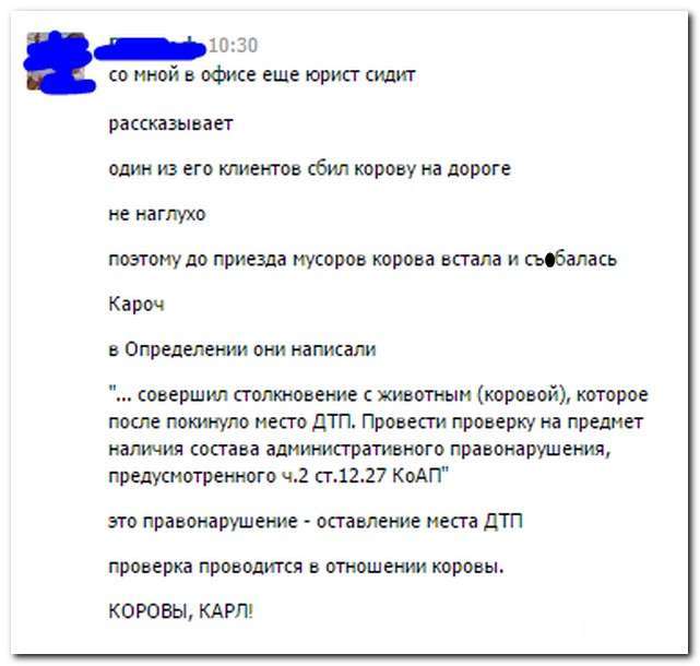 Смішні коментарі із соціальних мереж (21 фото)