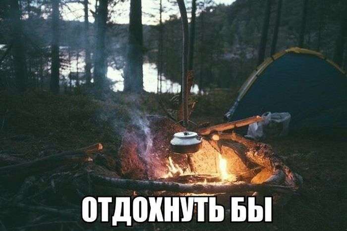 Підбірка прикольних фото №1196 (99 фото)