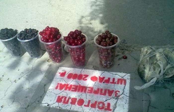 Проти системи (30 фото)