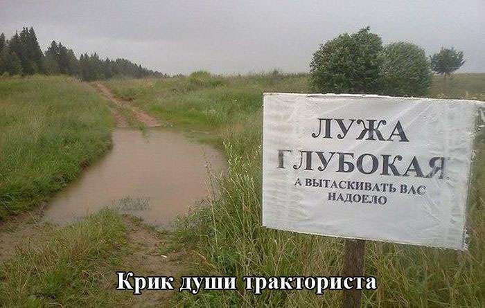 Підбірка прикольних фото №1203 (91 фото)