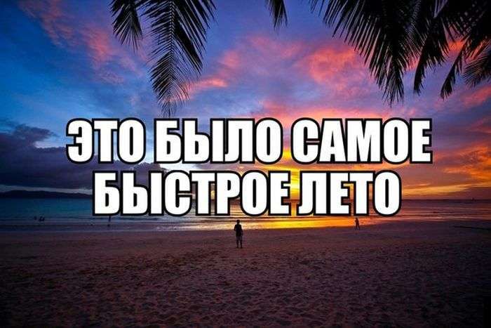 Підбірка прикольних фото №1207 (90 фото)