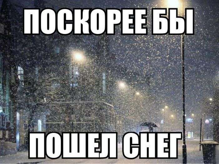 Підбірка прикольних фото №1207 (90 фото)