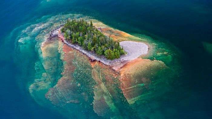 Підбірка прикольних фото №1208 (96 фото)
