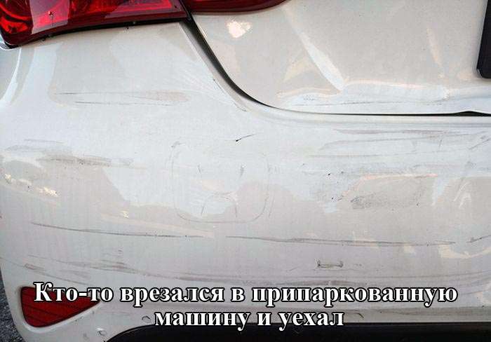Підбірка прикольних фото №1208 (96 фото)