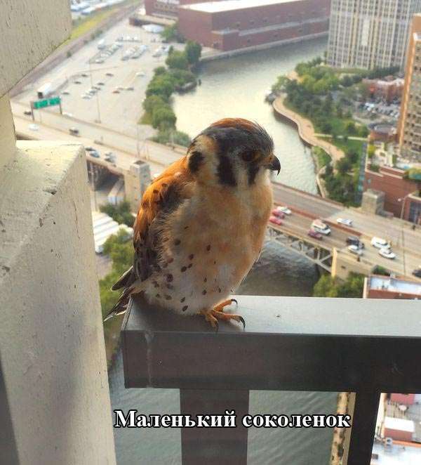 Підбірка прикольних фото №1208 (96 фото)