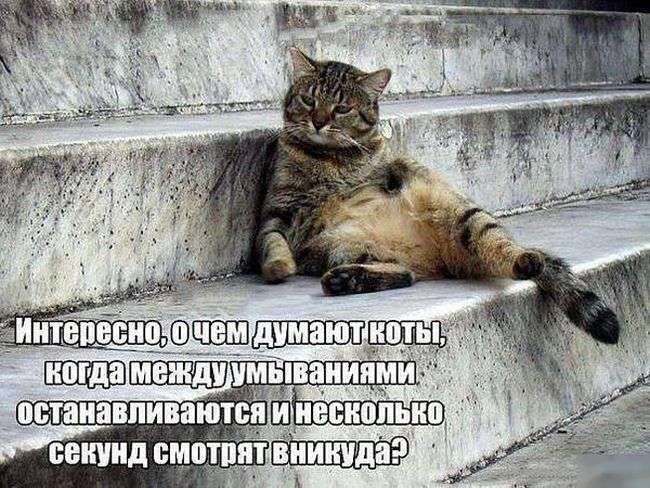 Підбірка прикольних фото №1208 (96 фото)