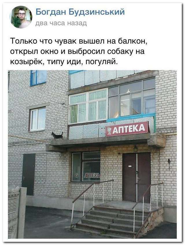 Смішні коментарі із соціальних мереж (22 фото)