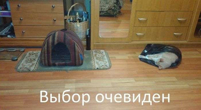 Підбірка прикольних фото №1209 (90 фото)