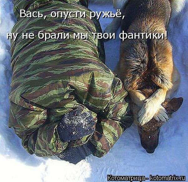 Кращі котоматриці тижні (50 фото)