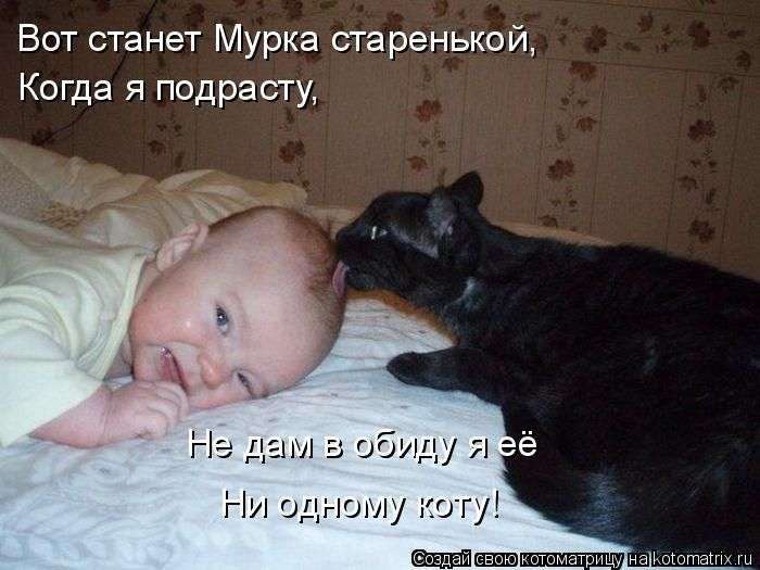 Кращі котоматриці тижні (50 фото)