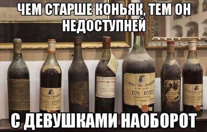 Підбірка прикольних фото №1210 (123 фото)
