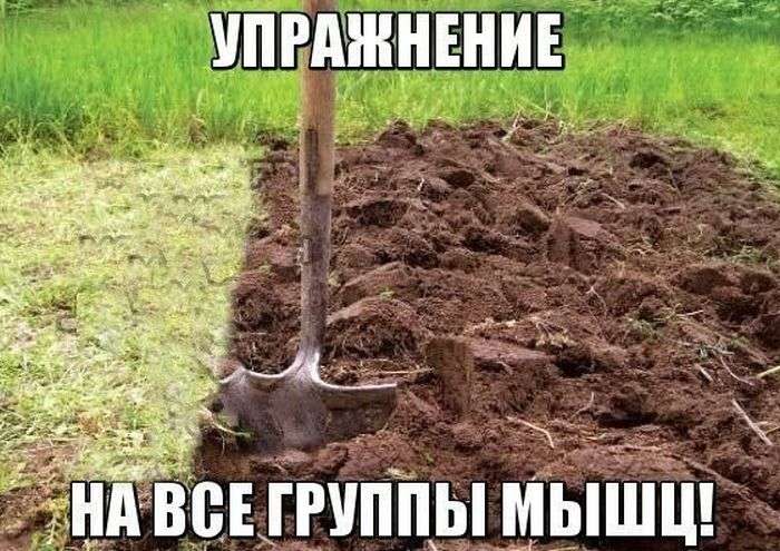 Підбірка прикольних фото №1211 (105фото)