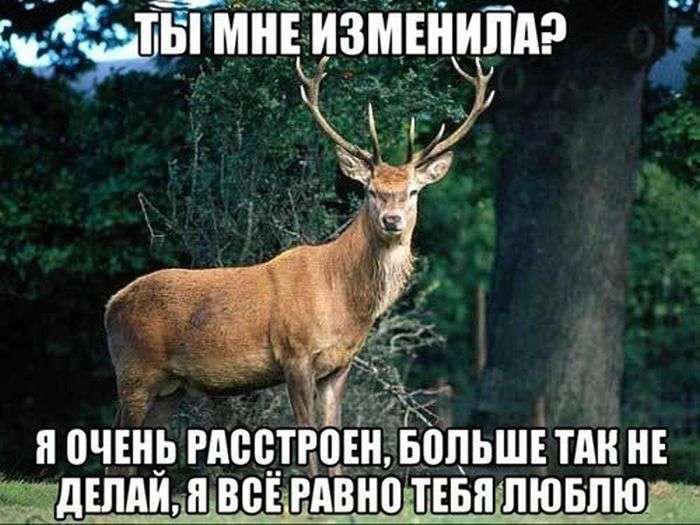 Підбірка прикольних фото №1211 (105фото)