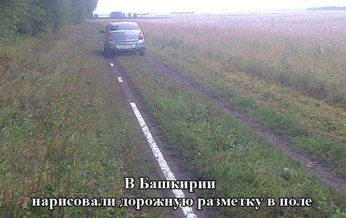 Підбірка прикольних фото №1211 (105фото)