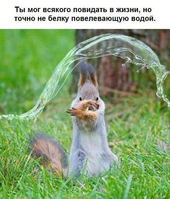 Підбірка прикольних фото №1212 (90 фото)