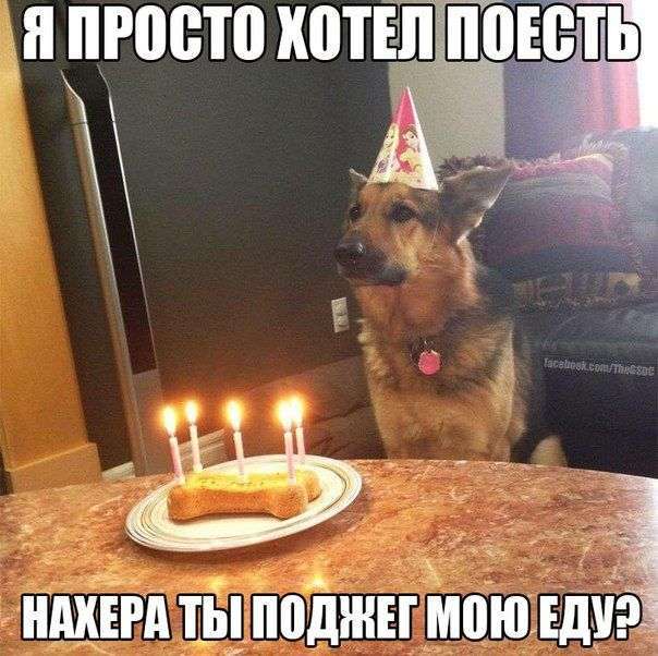 Підбірка прикольних фото №1212 (90 фото)