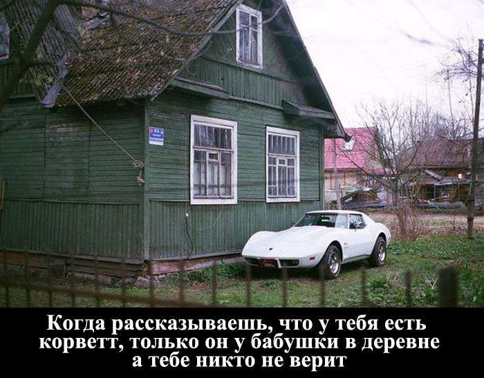 Підбірка прикольних фото №1214 (93 фото)