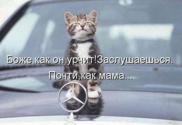 Автоприколы (45 фото)