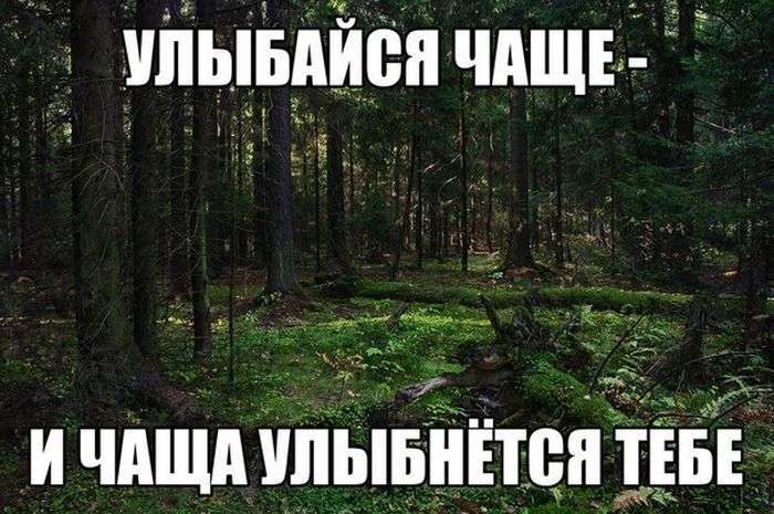 Підбірка прикольних фото №1215 (92 фото)