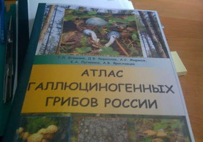 Підбірка прикольних фото №1216 (99 фото)