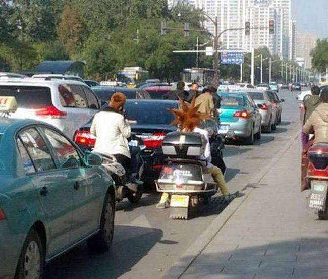 Автомобільний гумор (39 фото)