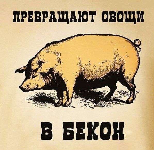 Підбірка прикольних фото №1217 (92 фото)