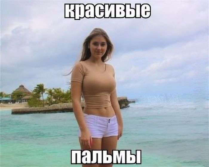 Підбірка прикольних фото №1219 (76 фото)