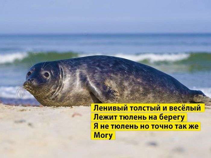 Підбірка прикольних фото №1221 (67 фото)