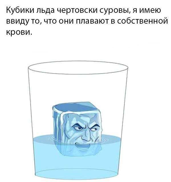 Підбірка прикольних фото №1222 (61 фото)