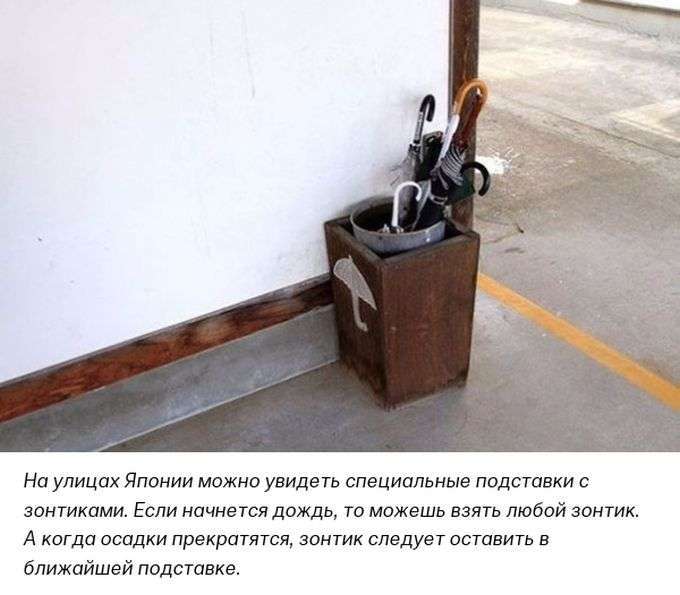 Підбірка прикольних фото №1222 (61 фото)